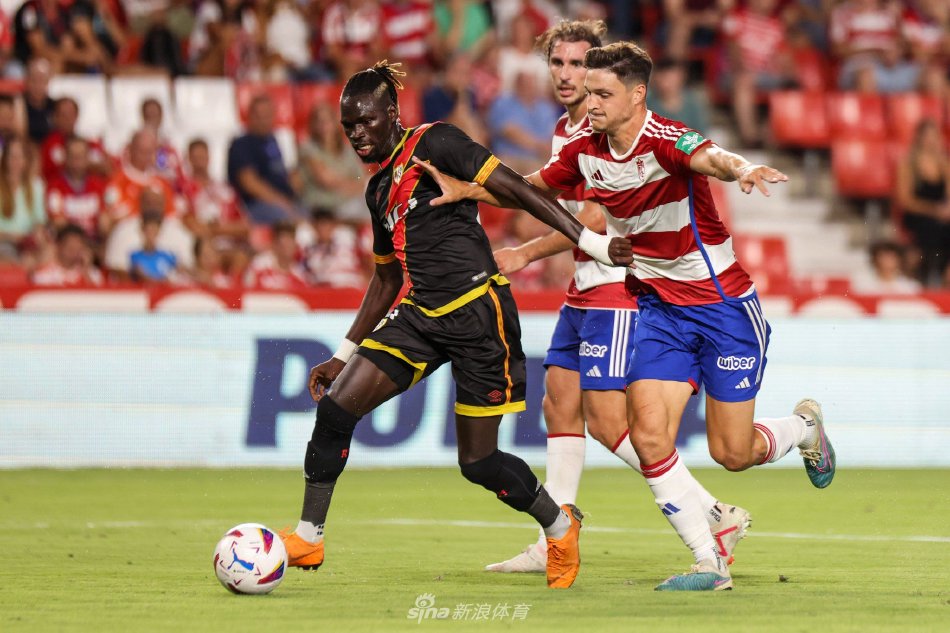 巩固了赞助 巩固了赞助